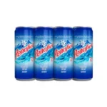 Agua mineral Peñafiel (12 pz)