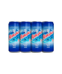 Agua mineral Peñafiel (12 pz)