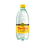 Agua mineral Topo Chico (600 ml)