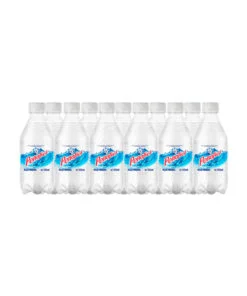 Agua mineral Peñafiel (24 pz)